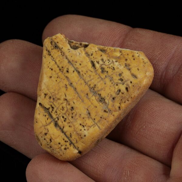 Raw Rough Genuine Baltic amber 10g Stone