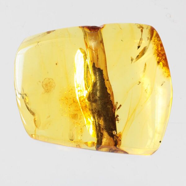Rare Stalactite Free-Shaped Baltic Amber Stone