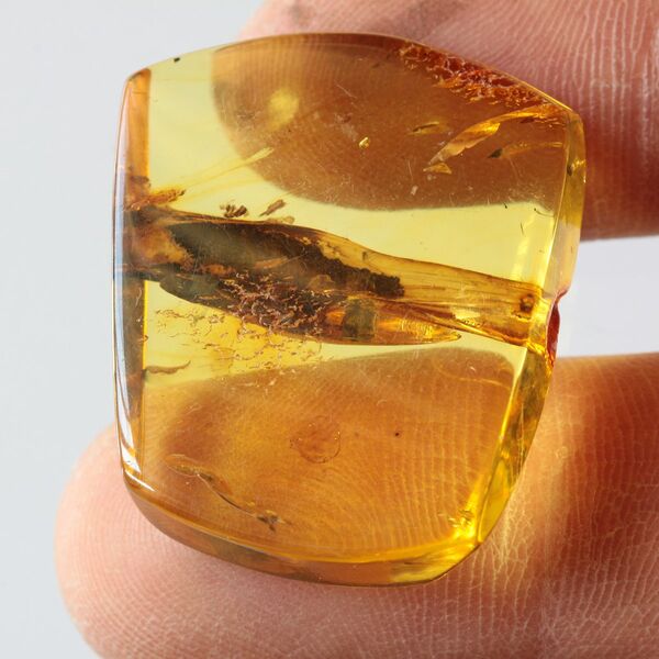 Rare Stalactite Free-Shaped Baltic Amber Stone