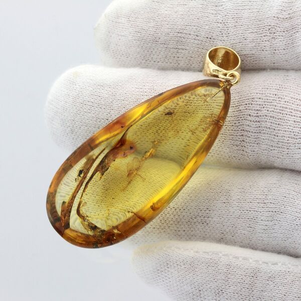 Insect inclusions in Baltic amber fossil big stone