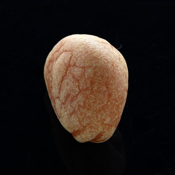 Raw Rough Genuine Baltic amber Drop Fossil Stone