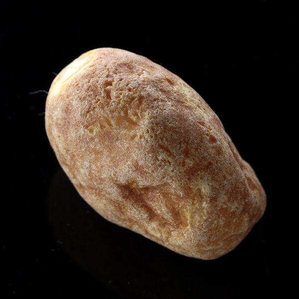 Raw Rough Genuine Baltic amber Drop Fossil Stone