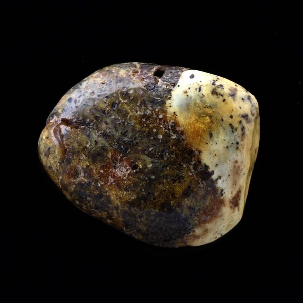 Polished Rough Genuine Baltic amber Fossil Stone
