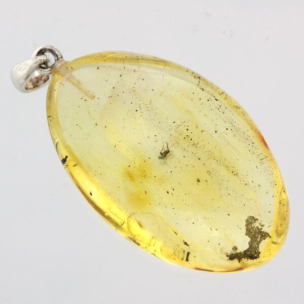 Baltic amber silver pendant w insect inclusion