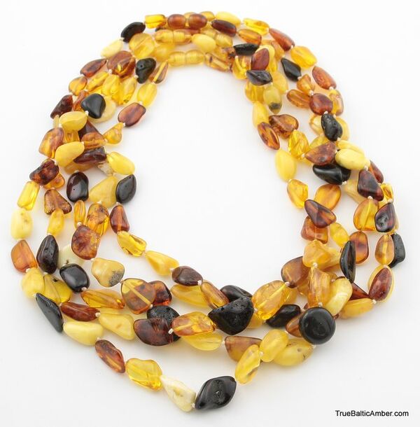 5 Multi BEANS Baltic amber adult wholesale necklaces 20in