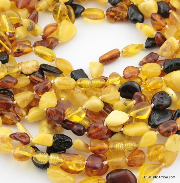 10 Multi larger BEANS Baltic amber adult wholesale necklaces