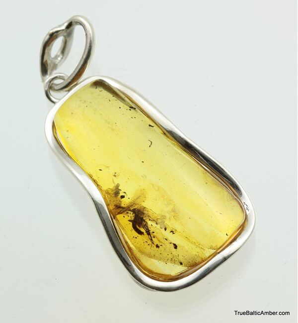 Large Baltic amber silver pendant w insect inclusion 11g