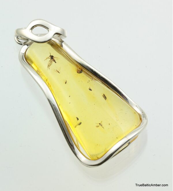 Large amulet Baltic amber silver pendant w insect inclusion 10g