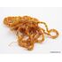10 Raw BEANS n NUGGETS Baltic amber adult strech bracelets