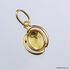 Gold Plated Baltic amber pendant with insect inclusion