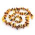 Multi thorns Baltic amber necklace 22in