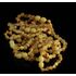 10 Raw BAROQUE Baltic amber teething bracelets 14cm