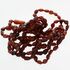 9 Raw Ruby BEANS Baltic amber teething bracelets 14cm