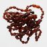 10 Raw Ruby BEANS Baltic amber teething bracelets 14cm