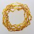5 Honey BEANS Baltic amber adult wholesale necklaces 45cm