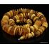 Butter buttons Baltic amber necklace 24in