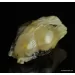 Carved Genuine BALTIC AMBER - Owl