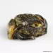 Carved Genuine BALTIC AMBER - Frog