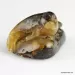 Carved Genuine BALTIC AMBER - Seal