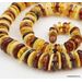 Multi BUTTONS Baltic amber necklace 24in