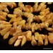 Vintage Egg Yolk Thorns Baltic amber necklace 23in