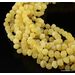 10 HQ Raw Butter BAROQUE Baltic amber adult necklaces