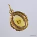 Gold Plated Baltic amber pendant with insect inclusion
