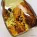 Large amulet Baltic amber silver pendant with insect inclusion 21g