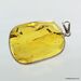 Large amulet Baltic amber silver pendant with diptera insect inclusion 16g