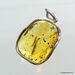 Large amulet Baltic amber silver pendant with diptera insect inclusion 15g
