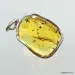 Large amulet Baltic amber silver pendant with diptera insect inclusion 15g