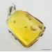 Large amulet Baltic amber silver pendant w insect inclusion 15g