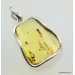 Large amulet Baltic amber silver pendant w insect inclusion 12g