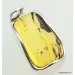 Large amulet Baltic amber silver pendant w insect inclusion 14g