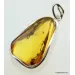 Large amulet Baltic amber silver pendant w insect inclusion 14g