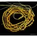 Lot of 5 Islamic 33 Baltic amber Prayer OLIVE beads