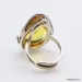 Baltic amber silver ring w insect inclusion