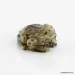 Carved Genuine BALTIC AMBER - Frog