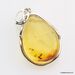 Baltic amber silver pendant w insect inclusion 7g