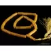 Islamic 33 CYLINDER Baltic amber prayer ANTIQUE beads