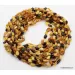 13 Multi BEANS Baltic amber adult wholesale necklaces 21in