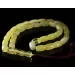 Islamic 33 BARREL Prayer BALTIC AMBER Beads Muslim Rosary