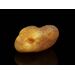 Natural Genuine Baltic Amber Sea Stone 41g