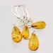 Teardrop Dangle Baltic Amber Fine Earrings