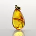 Drop Baltic amber pendulum pendant w insect inclusion