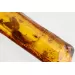 Insect inclusions in Baltic amber fossil stone