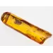 Insect inclusions in Baltic amber fossil stone