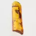Insect inclusions in Baltic amber fossil stone