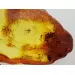 Insect inclusions in Baltic amber fossil large stone