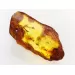 Insect inclusions in Baltic amber fossil large stone